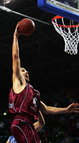 YL凭借出 YL凭借出